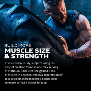 Muscletech Platinum Creatine 80 Servings image 1