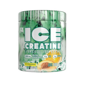FA Ice Creatine 60 Servings (Flavoured) image 0