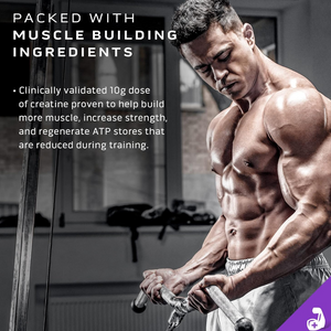 Muscletech Masstech Extreme 2000 6lbs image 1