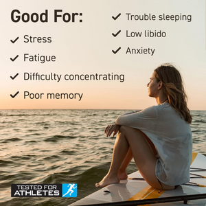 Applied Nutrition Ashwagandha 60 capsules image 3