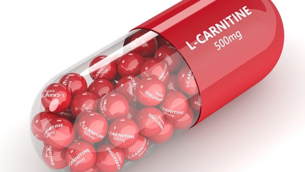 Everything to know about "L - Carnitine"