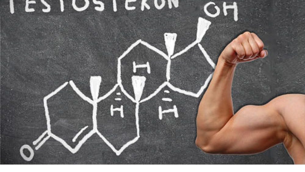 Testosterone and Building Muscle