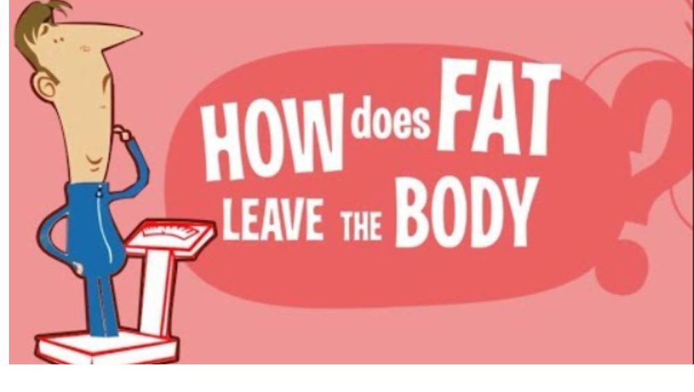 how does fat leave