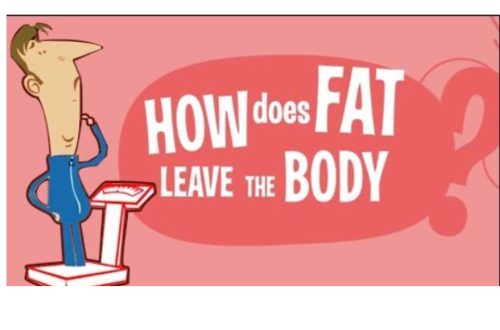 how does fat leave